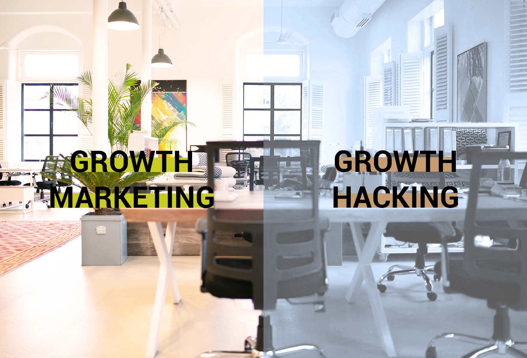 growth hacking