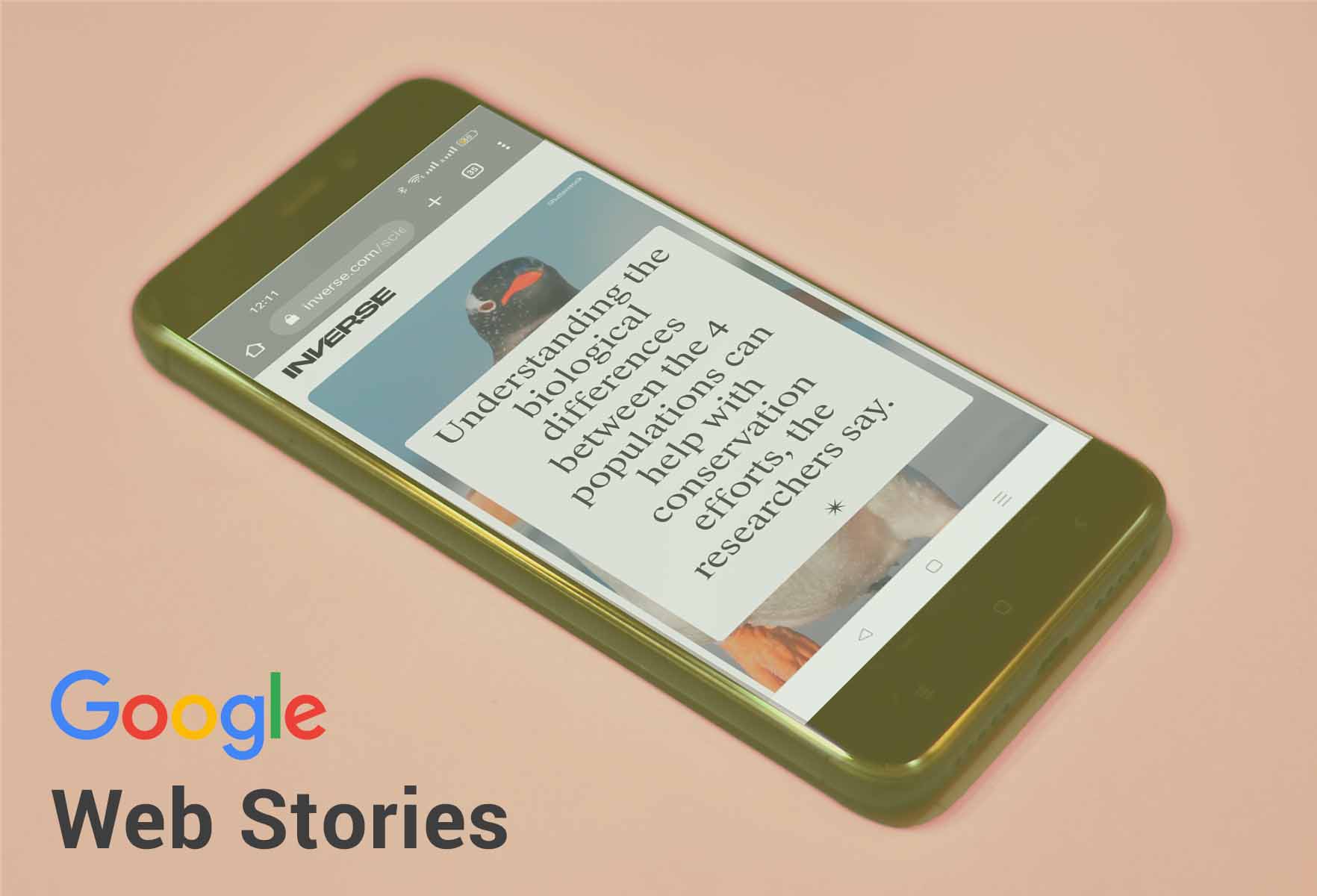 google web stories